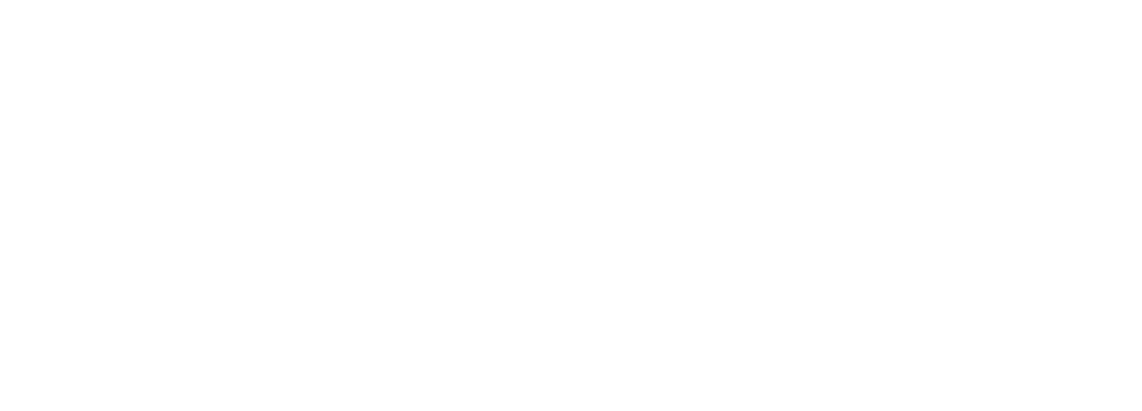 Tixer Software
