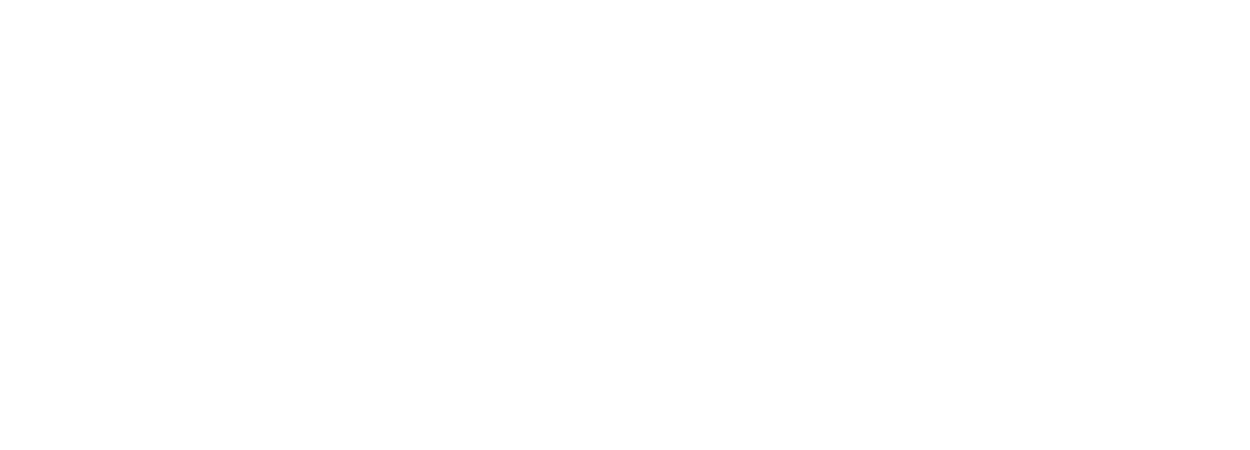 Tixer Connect Logo